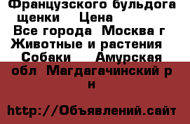 Французского бульдога щенки  › Цена ­ 35 000 - Все города, Москва г. Животные и растения » Собаки   . Амурская обл.,Магдагачинский р-н